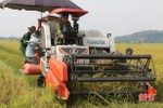 Động lực thúc đẩy ngành nông nghiệp Hà Tĩnh hiện đại và hội nhập
