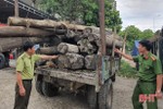 Xe tự chế chở 22 lóng gỗ nhóm 5 - 8 không rõ nguồn gốc ở Hương Sơn