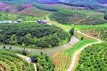 Lấy ý kiến về dự thảo Báo cáo đề nghị xét, công nhận huyện Hương Sơn đạt chuẩn nông thôn mới