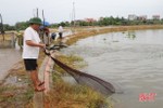 TP Hà Tĩnh cảnh báo tình trạng đánh bắt cá trái quy định sau mưa lớn