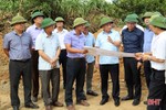 Khẩn trương giải phóng mặt bằng thi công dự án đường ven biển đoạn Kỳ Xuân - Kỳ Ninh