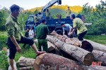 Công an Hương Sơn phát hiện một lượng gỗ vô chủ tập kết trái phép