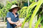 Ông lão 70 ở Hà Tĩnh mê “làm xanh” khu vườn 2.000m2