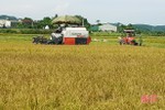 Hà Tĩnh thu hoạch lúa hè thu đạt gần 10% diện tích