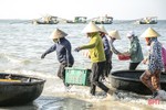 Gặp đúng luồng cá mờm cơm, ngư dân Lộc Hà thu “tiền tươi” tại bãi
