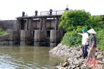 Công trình thủy lợi trên tuyến đê Hoàng Đình “mất tác dụng” trước mùa mưa lũ