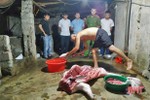 Bắt quả tang 1 hộ dân giết mổ lợn trái phép ở Lộc Hà