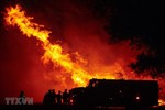 Mỹ: Tất cả rừng quốc gia ở California đã đóng cửa vì cháy