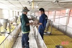 Các HTX ở Hà Tĩnh học cách bảo vệ môi trường để phát triển chăn nuôi lợn bền vững