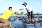 Người nuôi trồng thuỷ hải sản Hà Tĩnh tất tả “chạy” bão