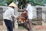 Khống chế bệnh lở mồm long móng trên gia súc ở xã ven biển Hà Tĩnh