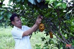 Khởi nghiệp chỉ với 10 triệu đồng, anh nông dân Hà Tĩnh sở hữu trang trại cho lợi nhuận hơn 2 tỷ mỗi năm