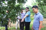 Hà Tĩnh tạo điều kiện kết nối cung cầu, tiêu thụ nông sản Hà Giang