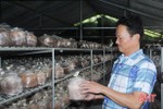 Người dân Hà Tĩnh sản xuất hơn 400 nghìn phôi nấm cho vụ mới