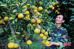 Hà Tĩnh cần ban hành nghị quyết mới về khuyến khích phát triển nông nghiệp