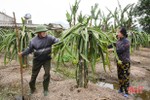 Người dân Lộc Hà ra quân khôi phục các vườn mẫu, không để “rớt chuẩn” NTM!