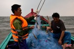 Ngư dân Hà Tĩnh thu gần 1.000 tỷ đồng từ cá vụ nam