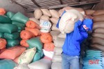 Chính phủ xuất cấp 3.000 tấn gạo hỗ trợ người dân vùng lũ Hà Tĩnh