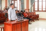 Thuê người chặt phá rừng ở Hương Sơn, lĩnh án 12 tháng tù giam