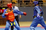 VĐV Hà Tĩnh giành huy chương tại Giải Vô địch Vovinam toàn quốc