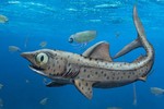 Phát hiện loài cá mập tiền sử có hàm răng quái dị