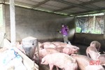 Hà Tĩnh: 25 xã, phường, thị trấn có dịch tả lợn châu Phi chưa qua 21 ngày