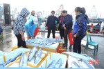 Hà Tĩnh phấn đấu khai thác 16.400 tấn hải sản vụ cá Bắc