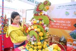 Lễ hội Cam và sản phẩm nông nghiệp Hà Tĩnh: “Giờ G” đã điểm