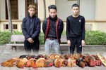 3 thanh niên, một đêm bắt trộm 26 con gà ở... 3 huyện!
