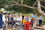 Vũ Quang lan toả phong trào làm vườn mẫu, cụm dân cư xanh - sạch - đẹp