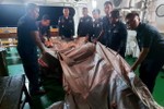 Nhiều mảnh vỡ nghi của máy bay Indonesia rơi được tìm thấy trên biển