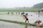 Nông dân huyện ven biển Hà Tĩnh nhanh tay sản xuất vụ xuân