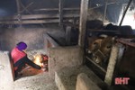 Nông dân Hà Tĩnh đốt lửa sưởi ấm cho bò