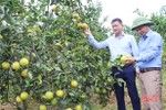 Kinh tế trang trại, gia trại “đổi đời” nông dân Vũ Quang