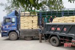 TP Hà Tĩnh sẽ hỗ trợ 33 tấn giống lúa vụ xuân cho bà con nông dân
