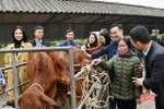 Báo Tiền Phong phối hợp trao 1 tỷ đồng hỗ trợ người dân vùng lũ Hà Tĩnh mua bò giống