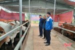 Thanh niên Vũ Quang ra mắt mô hình chăn nuôi bò trên 1 tỷ đồng