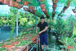Vườn lan rừng tuyệt sắc của phó bí thư đoàn xã miền núi Hà Tĩnh