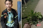 Bắt được đối tượng chuyên trộm cây cảnh ở Hà Tĩnh
