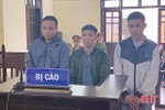 54 tháng tù cho 3 bị cáo trộm chó ở Hà Tĩnh