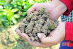 Chế phẩm phân hủy tồn dư thuốc BVTV bước đầu có hiệu lực trên đồng ruộng Hà Tĩnh