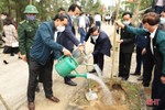 Các địa phương, đơn vị ở Hà Tĩnh phát động trồng cây đầu năm