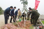 Can Lộc phấn đấu trồng khoảng 45.000 cây xanh trong năm 2021