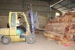 Chính phủ Lào nới lỏng chính sách, doanh nghiệp nhập khẩu gỗ Hà Tĩnh khởi sắc