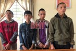 Nhóm trộm trẻ tuổi hơn 1 tháng gây ra 19 vụ “đột vòm” ở Hà Tĩnh