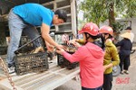 Xã bãi ngang Hà Tĩnh hỗ trợ 2.875 con gà giống giúp giảm nghèo bền vững