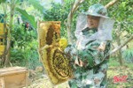 OCOP - chìa khóa thành công của nông dân Vũ Quang