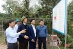 Vùng lũ ở Cẩm Xuyên cần giữ lại lũy tre xanh khi cải tạo vườn tạp