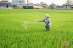 Siêng thăm đồng, kịp thời ngăn ngừa các loại bệnh hại cây trồng ở Lộc Hà