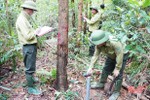Hương Sơn quyết tâm bảo vệ gần 85.000 ha rừng trong mùa nắng nóng